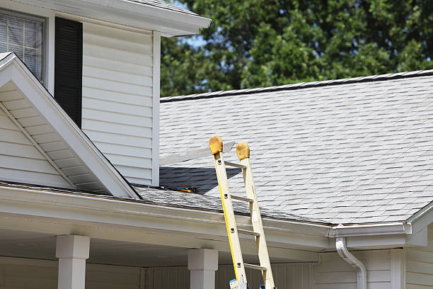 Best Historical Building Siding Restoration  in Ball Ground, GA